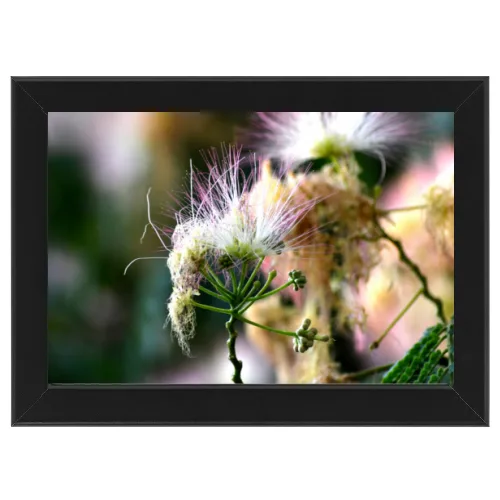 Poster con Cornice 45x30