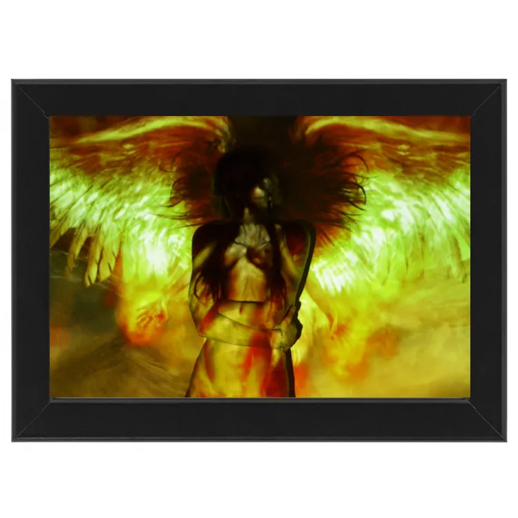 Frame Modern Angel