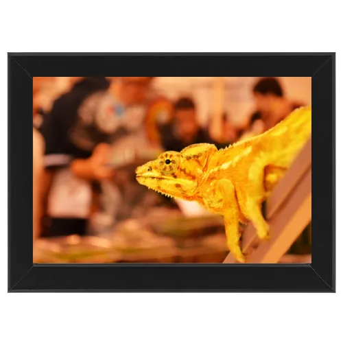 Poster con Cornice 45x30