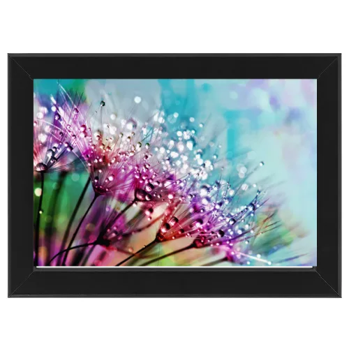 Poster con Cornice 45x30