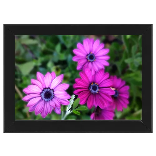 Poster con Cornice 45x30