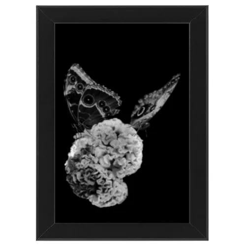 Poster con Cornice 30x45