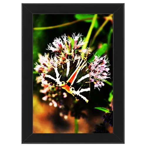 Poster con Cornice 30x45
