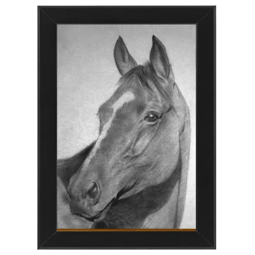 Poster con Cornice 30x45