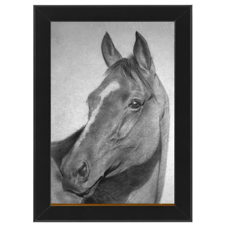 Vertical frame Horse