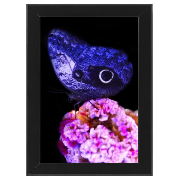 Vertical Frame Nature