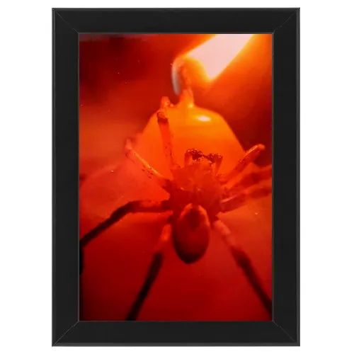 Poster con Cornice 30x45