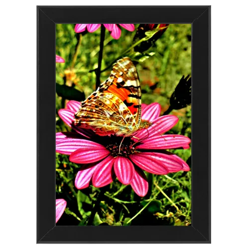 Poster con Cornice 30x45