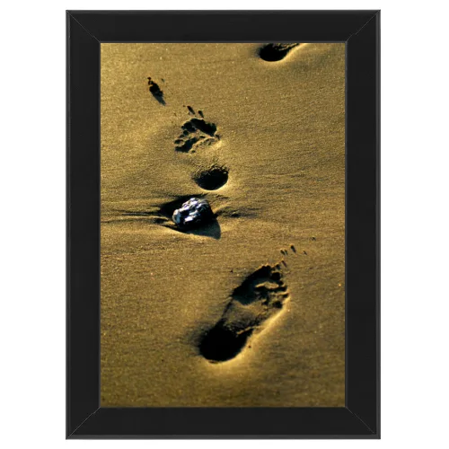 Poster con Cornice 30x45