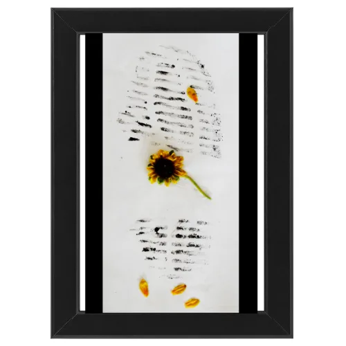 Poster con Cornice 30x45