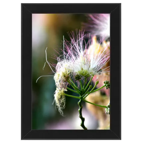 Poster con Cornice 30x45