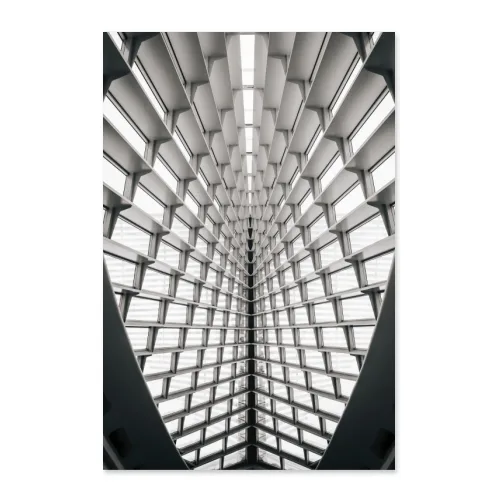 Poster 50x75