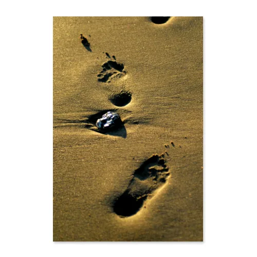 Poster 50x75