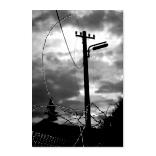 Poster 50x75