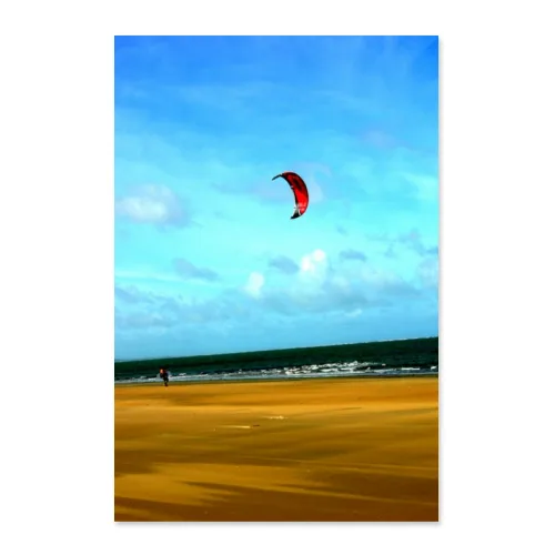 Poster 50x75