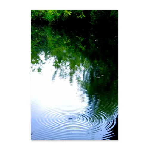 Poster 50x75