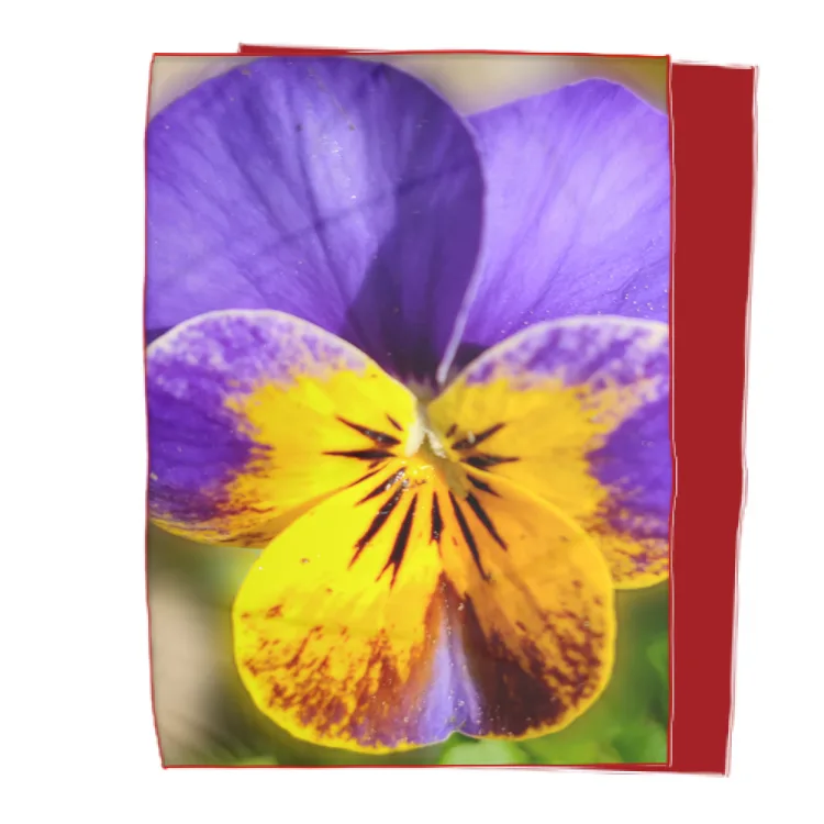 Double bed blanket flower