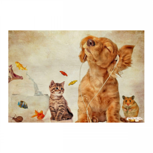 Canvas 45x30