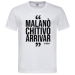 T-Shirt Men Premium  19.90 &euro;