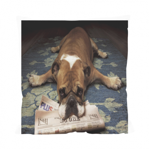 Cuscino All Over Print