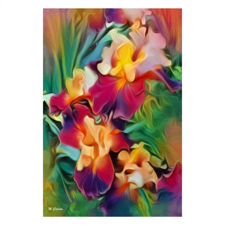 Iris fiorito