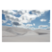 Canvas 60x40 62.50 &euro;