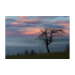 Canvas 30x20 29.90 &euro;