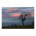 Canvas 45x30 31.25 &euro;