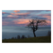 Canvas 60x40 62.50 &euro;