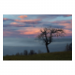 Canvas 90x60 87.50 &euro;