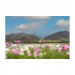 Canvas 30x20 29.90 &euro;