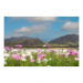 Canvas 45x30 31.25 &euro;