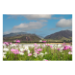 Canvas 60x40 62.50 &euro;