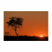 Canvas 30x20 29.90 &euro;