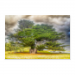 Poster 45x30 12.50 &euro;