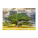 Poster 75x50 20.00 &euro;