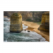Poster 75x50 20.00 &euro;