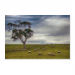 Poster 45x30 12.50 &euro;