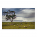 Poster 75x50 20.00 &euro;