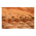 Canvas 45x30 31.25 &euro;