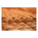 Canvas 90x60 87.50 &euro;