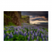 Canvas 30x20 29.90 &euro;