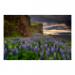 Canvas 45x30 31.25 &euro;