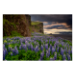 Canvas 60x40 62.50 &euro;