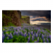 Canvas 90x60 87.50 &euro;