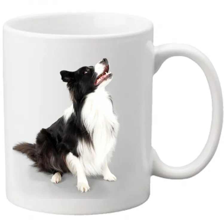 TAZZA citazione e logo