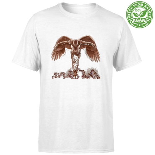 T-Shirt Bambino Organic