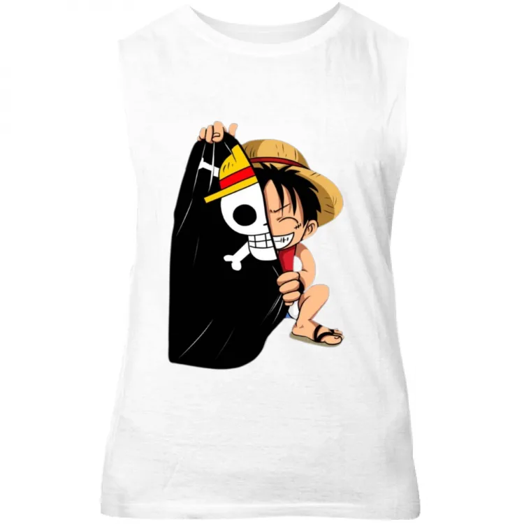 One Piece monkey d luffy collection