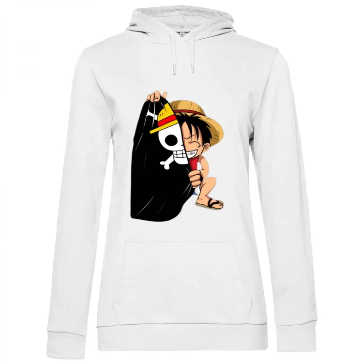 One Piece monkey d luffy collection