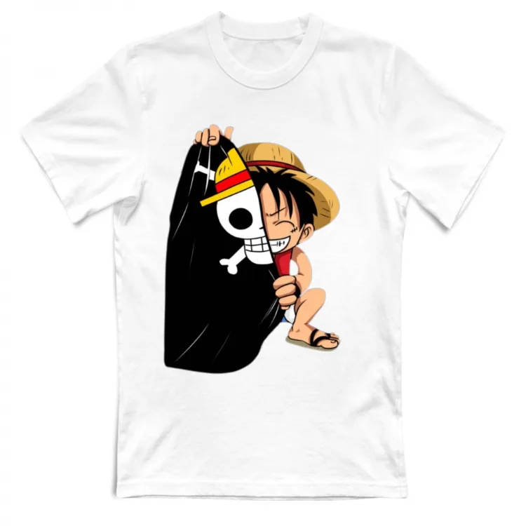 One Piece monkey d luffy collection